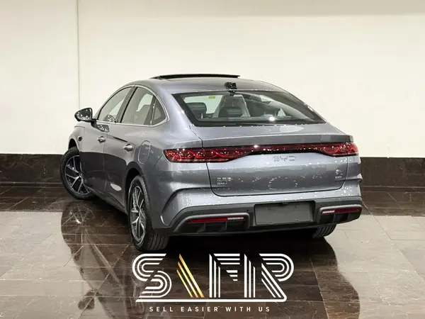 بی وای دی، چین L