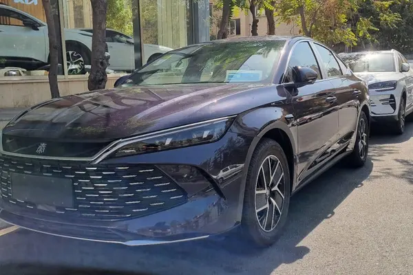 بی وای دی، چین L