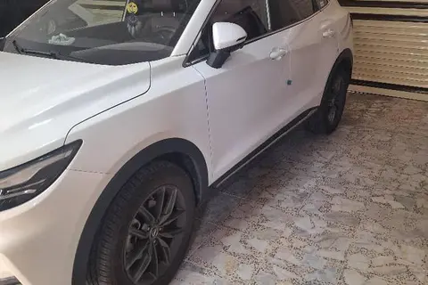 دیگنیتی، پرایم