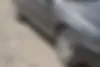 پژو، پارس