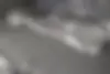 لاماری  ایما