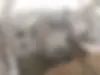 ام وی ام،  110
