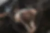 بنز،  کلاس E