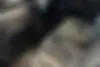 لکسوس  RX