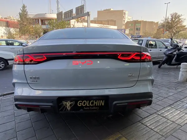 بی وای دی، چین L