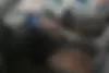 مکسوس  استار H