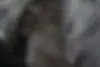 چری،  آریزو 6