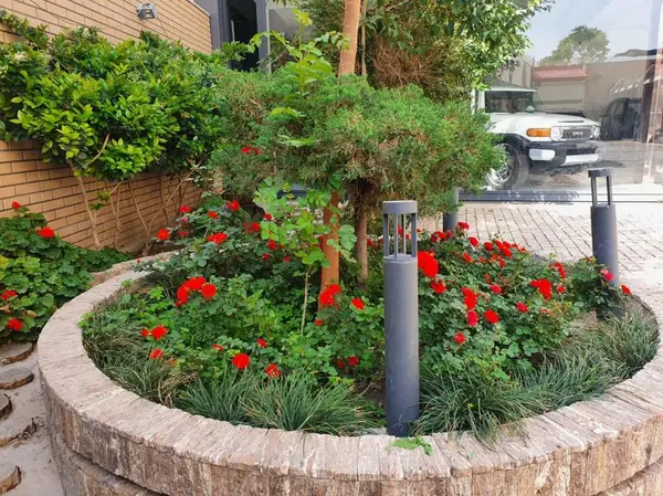 تارا، اتوماتیک V4