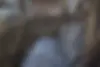 کیا  سورنتو