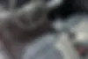 اشکودا،  اوکتاویا پرو