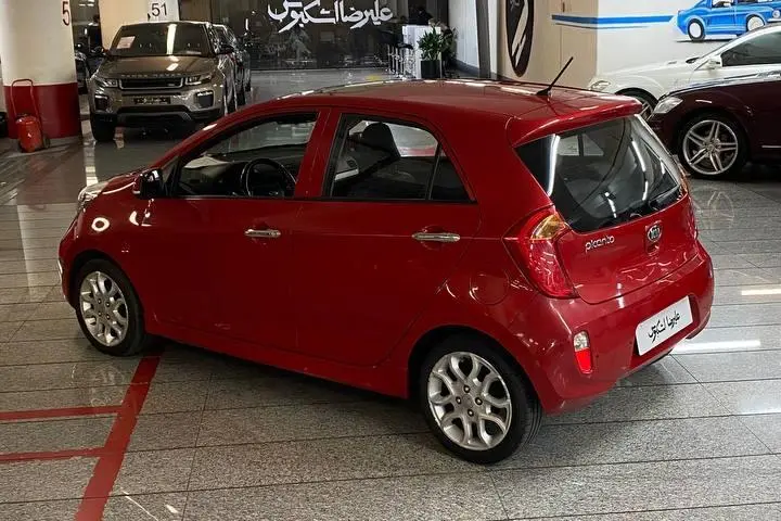 کیا،  پیکانتو