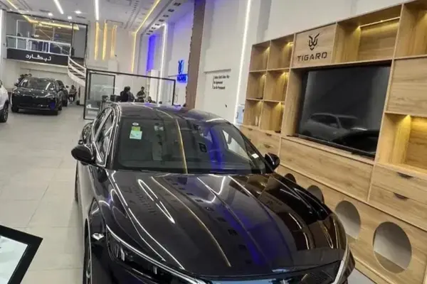 بی وای دی، چین ال DMi