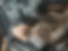 رنو  کولیوس