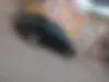 پژو، پارس