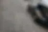 پژو،  پارس