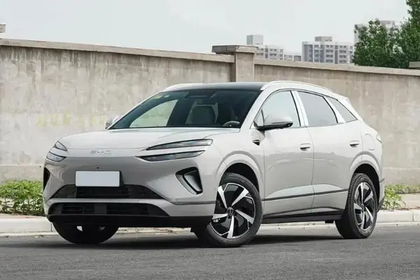 بی وای دی، سی لاین 06 DMi