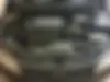 کیا،  سراتو کوپ