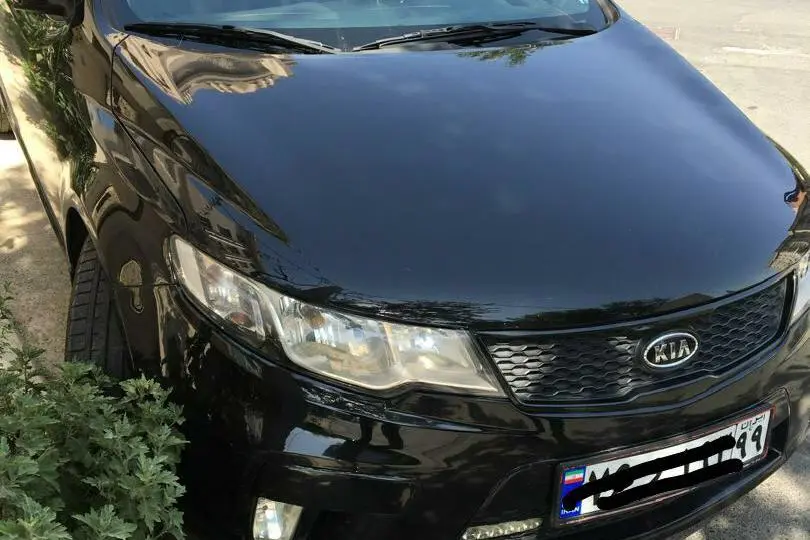 کیا،  سراتو کوپ