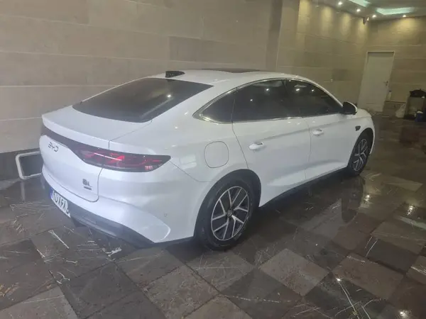 بی وای دی، چین L