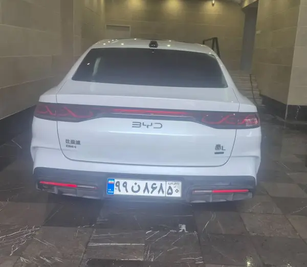 بی وای دی، چین L