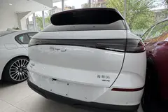 بی وای دی، سی لاین 06 DMi