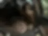 بنز،  کلاس E