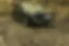 فونیکس، آریزو 6 پرو