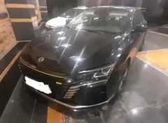 دانگ فنگ، شاین مکس هیبرید
