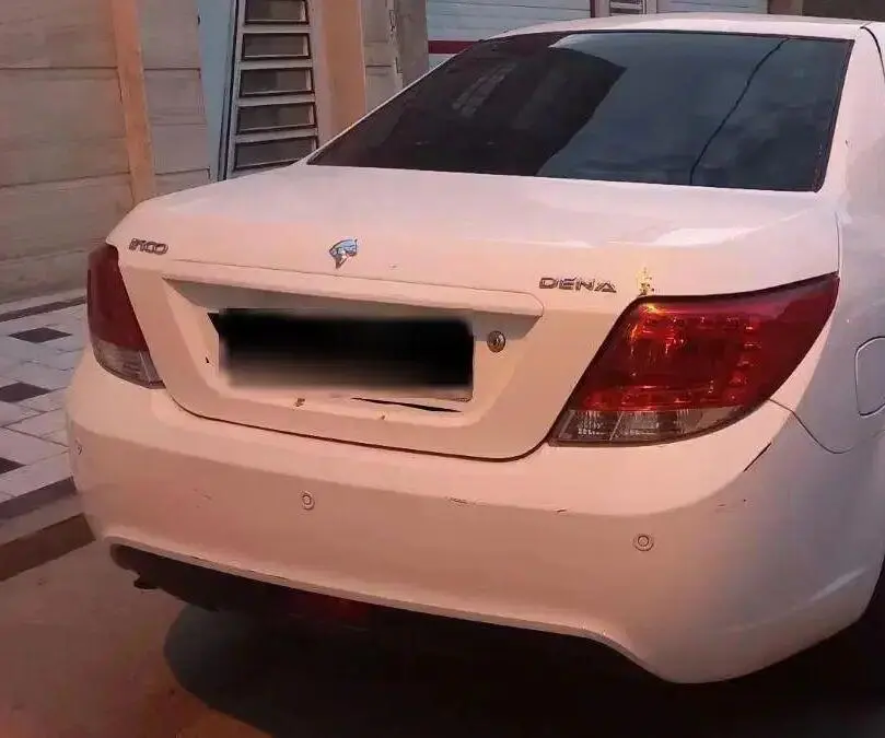 دنا،  معمولی