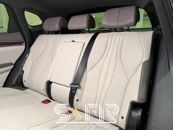 بی وای دی، سانگ پلاس DMi