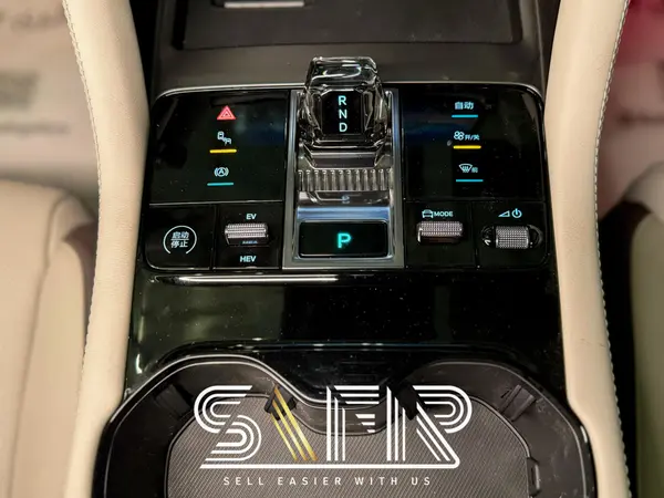 بی وای دی، سانگ پلاس DMi