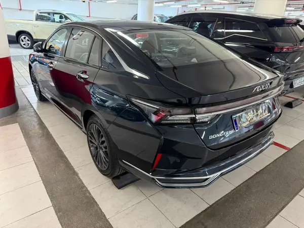 دانگ فنگ، شاین مکس