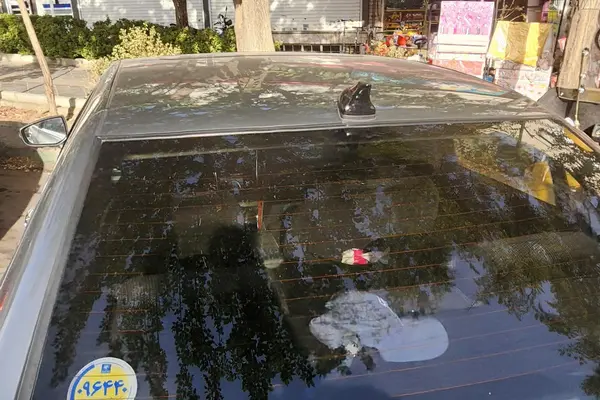 دنا، پلاس EF7