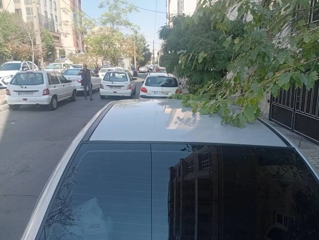 تیبا،  صندوق دار