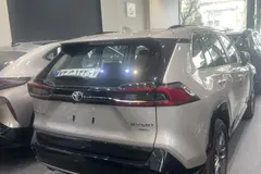 تویوتا، وایلدلندر