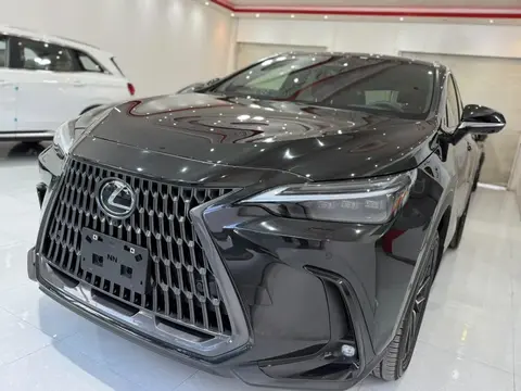 لکسوس، NX