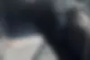 لاماری  ایما