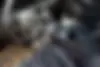فونیکس  FX