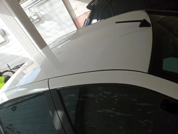 دنا، معمولی