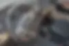 دنا،  معمولی