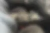 ام وی ام  M5 پرو