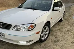 نیسان، ماکسیما