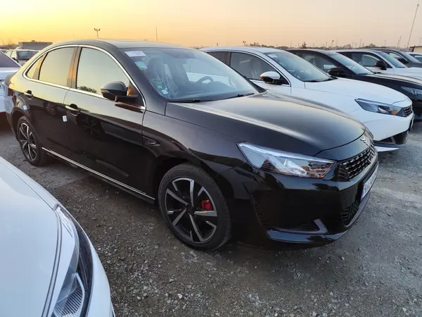 ریسپکت، پرایم