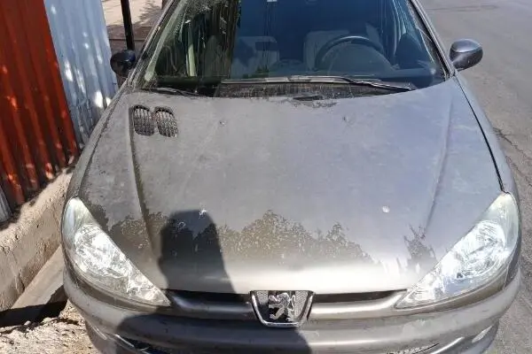 پژو،  206