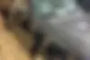 دنا  پلاس EF7