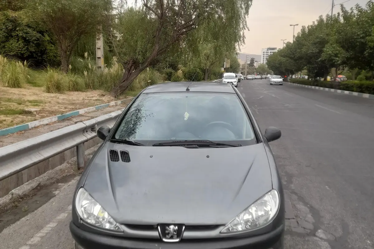 پژو،  206 SD
