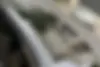 کیا  اپتیما