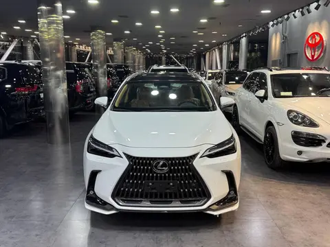 لکسوس، NX هیبرید