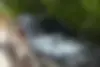 فونیکس، FX