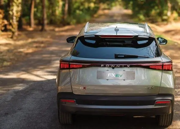 حواله فونیکس  FX EV